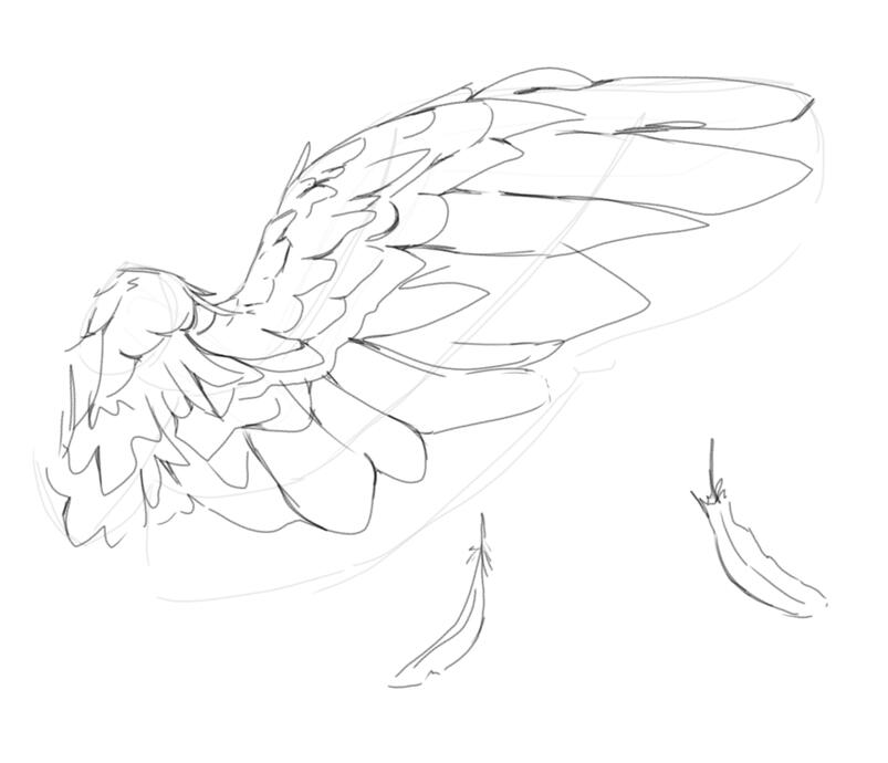 This was a study for detail on wings.